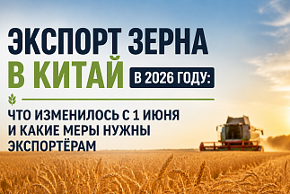 Экспорт зерна в Китай в 2026 году: что изменилось с 1 июня и какие меры нужны экспортёрам